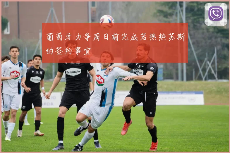 葡萄牙力争周日前完成若热热苏斯的签约事宜